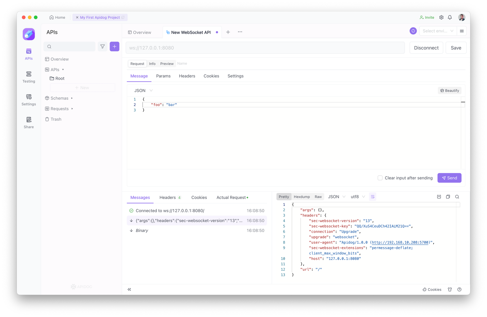 Websocket in Apidog