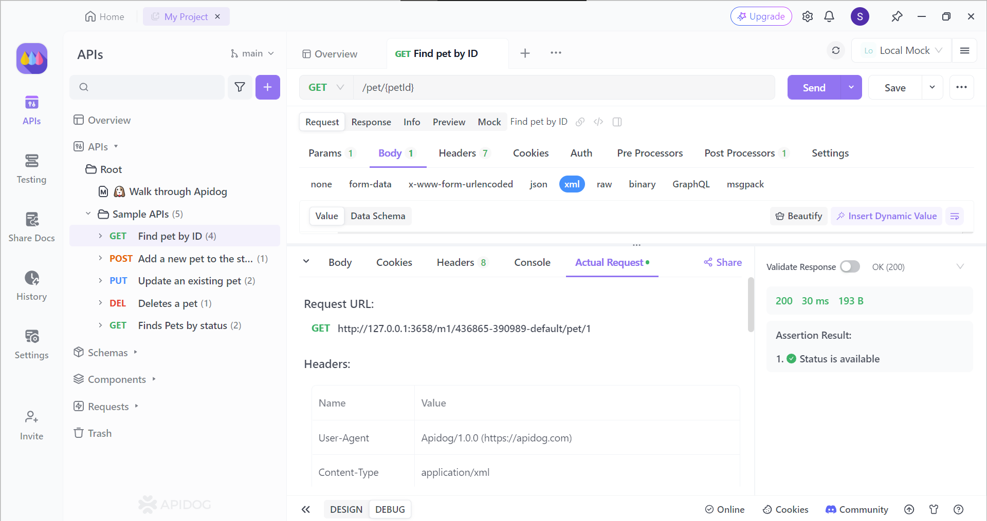 apidog various sections to view api response and request