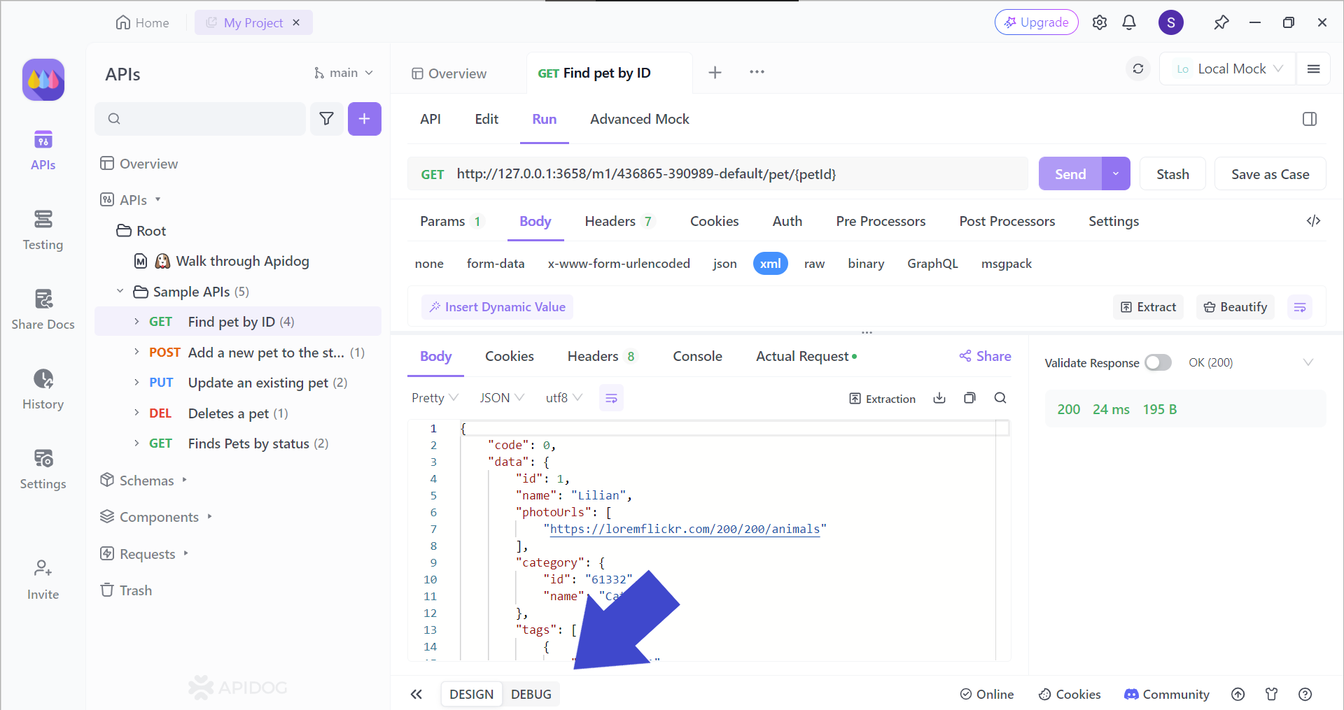 press debug section after receiving api resposne apidog