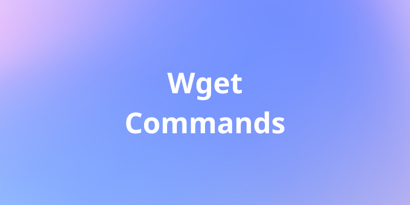 [Linux] Comandos Wget que Todo Desenvolvedor Precisa Conhecer