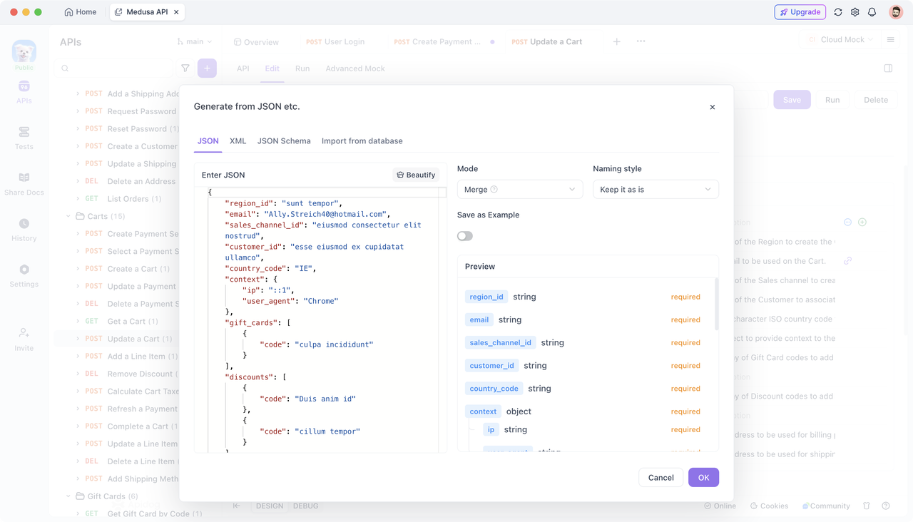 Preview the inputted JSON data 