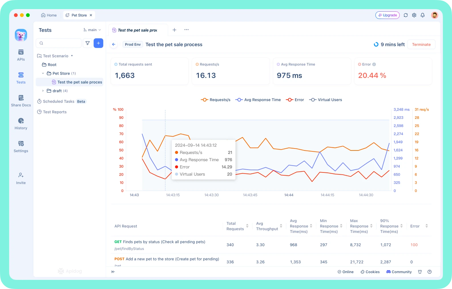 Apidog Testing Interface