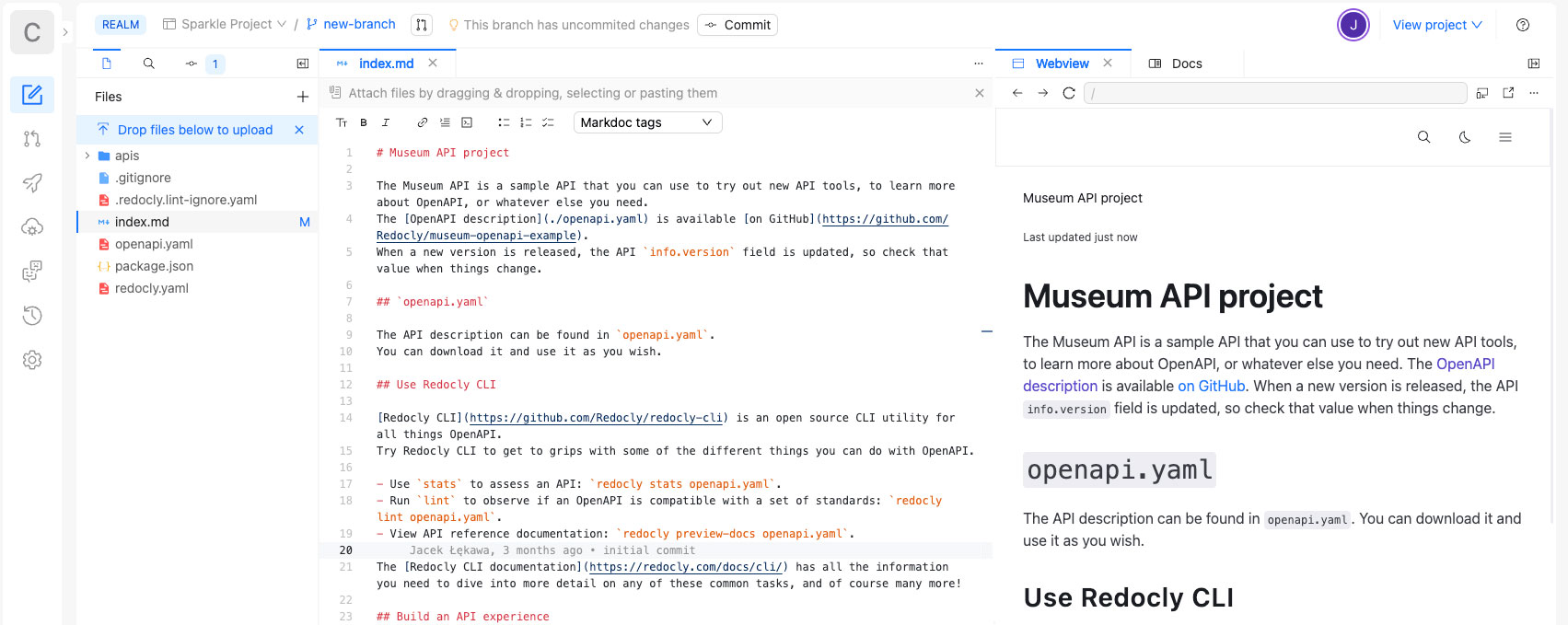 Redocly API documentation and governance interface